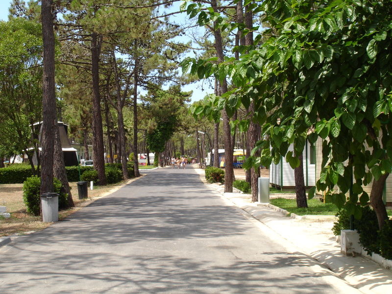 Hôtel Parque De Campismo Orbitur Gala à Figueira da Foz Extérieur photo