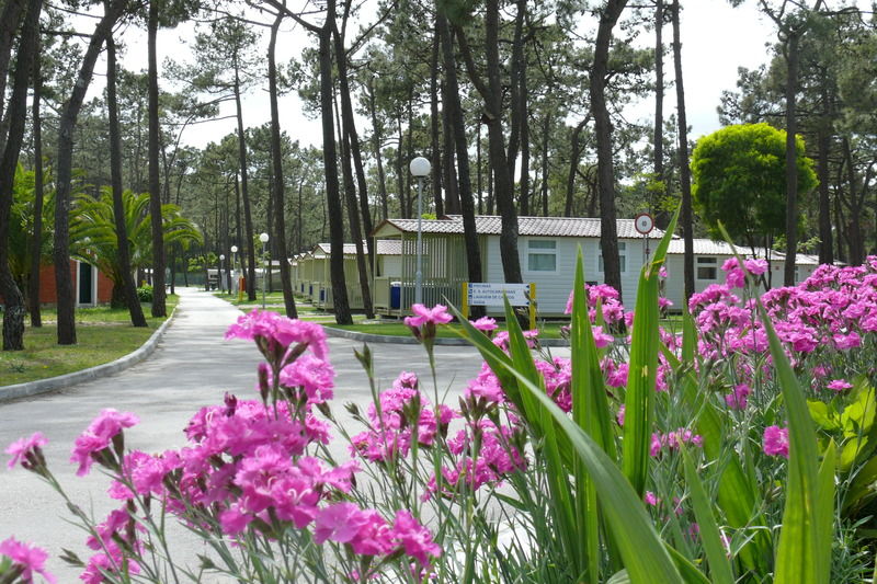 Hôtel Parque De Campismo Orbitur Gala à Figueira da Foz Extérieur photo